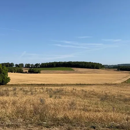 Maison De Charme Au Coeur Des Vignes